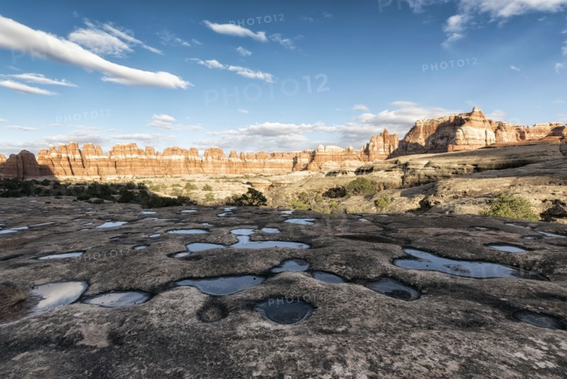 Puddles in desert
