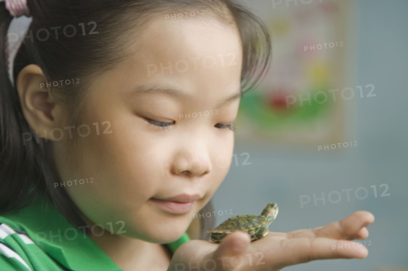 Chinese girl holding miniature turtle
