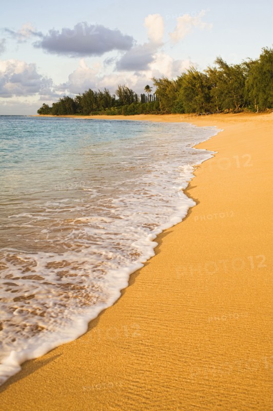 Tranquil remote beach