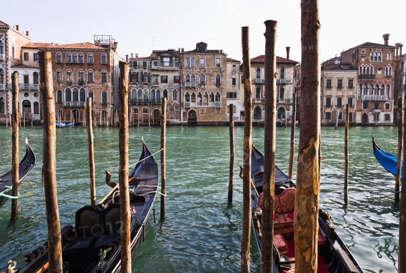 Gondolas moored in canal on wooden posts