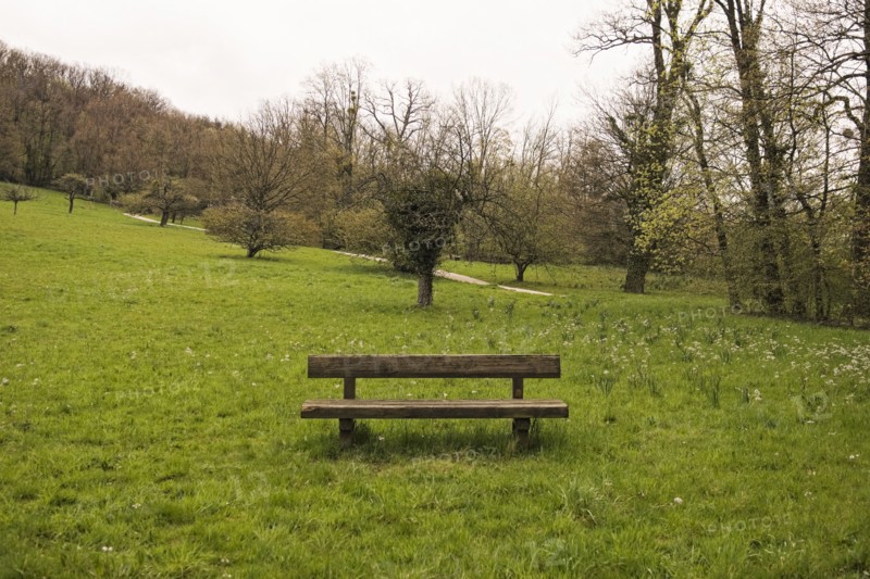 Empty bench in rural park