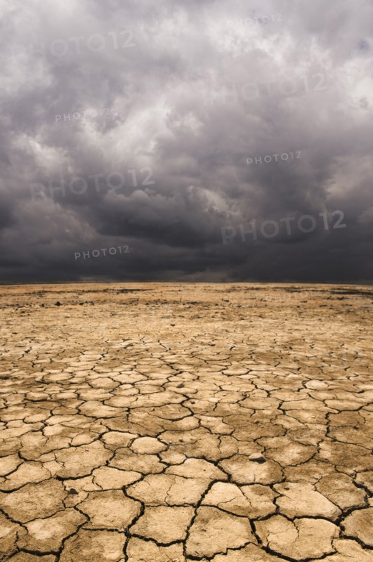Cracked earth under cloudy sky in desert landscape