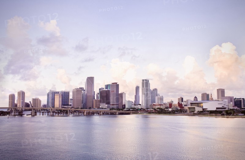 Miami city skyline and harbor