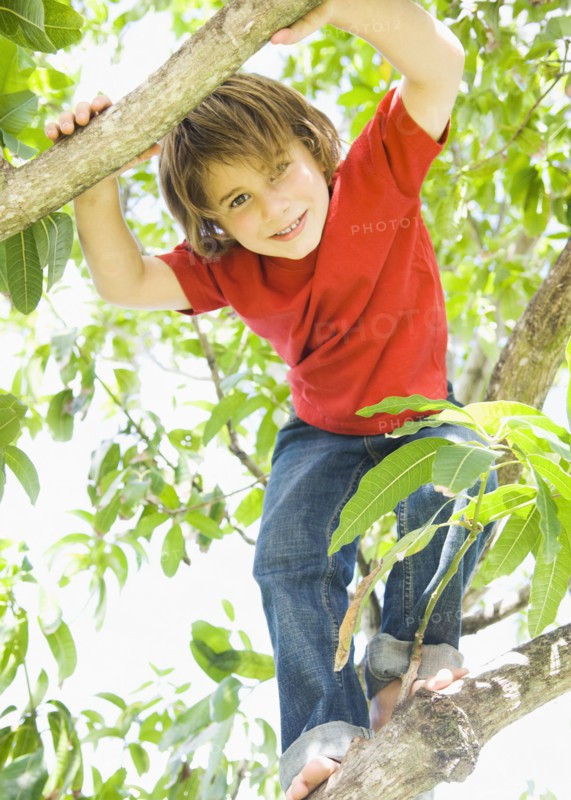 Caucasian boy smiling in tree
