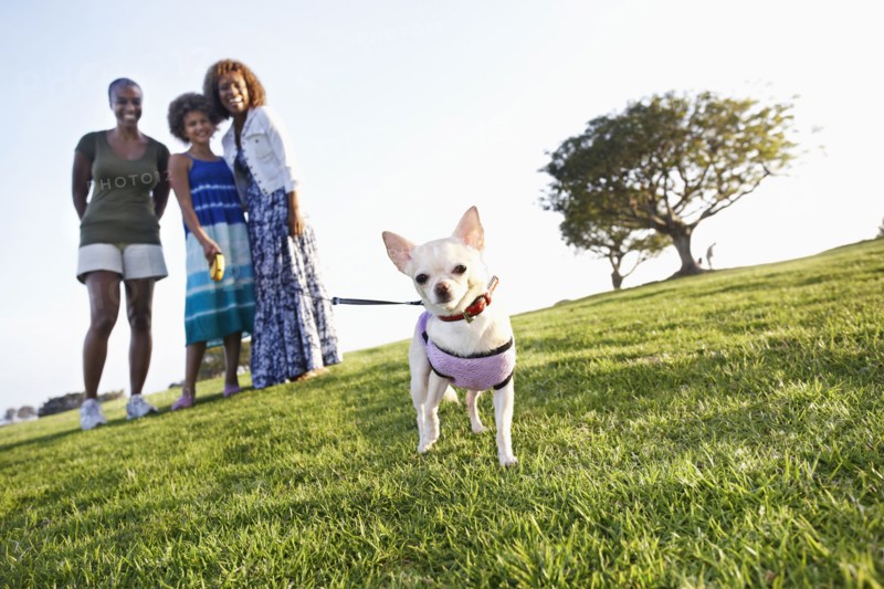 African American family walking dog in park