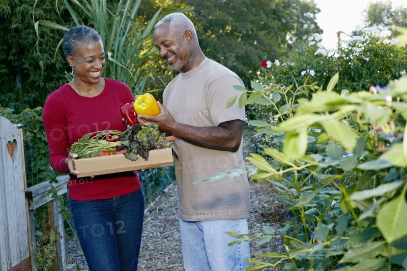 Black couple gathering vegetables in community garden