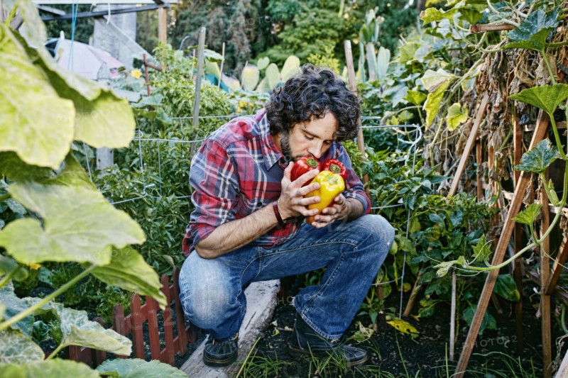 Caucasian man smelling peppers in garden