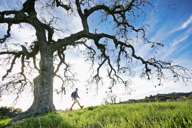 Caucasian man walking in field near tree