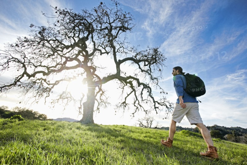 Caucasian man walking in field near tree