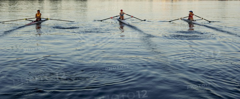 People rowing sculling boats on river