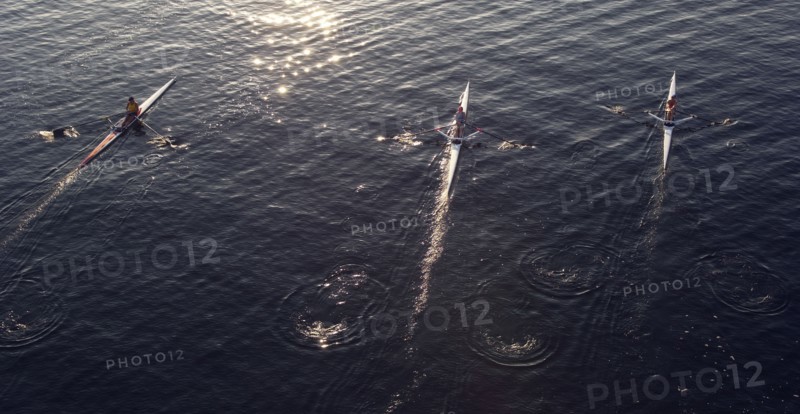 People rowing sculling boats on river