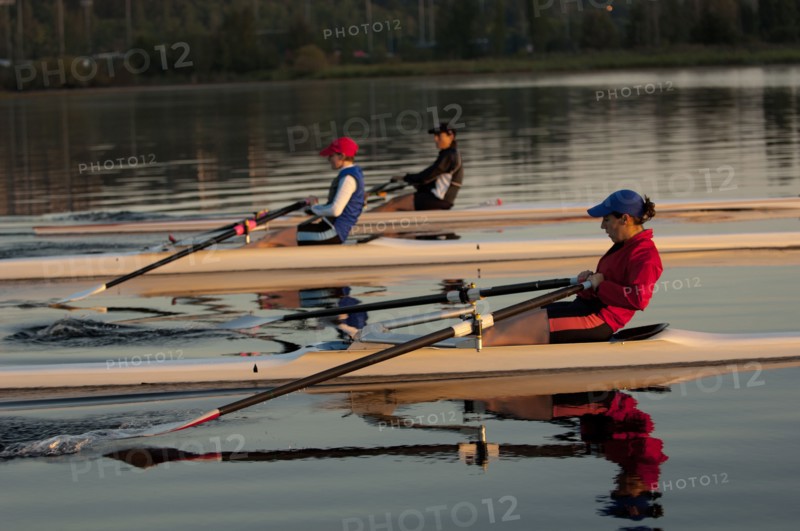 People rowing sculling boats on river