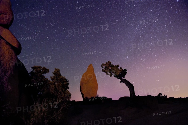 Stars in sky over desert