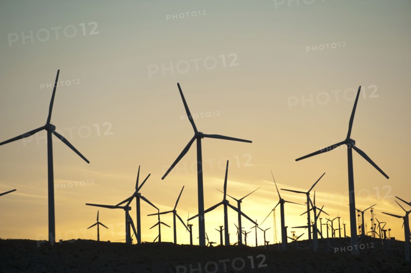 Wind farm in desert at sunset