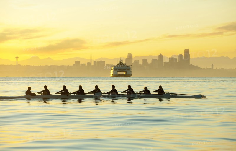 Team rowing boat in bay