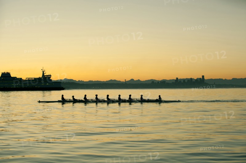 Team rowing boat in bay