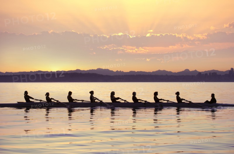 Team rowing boat in bay