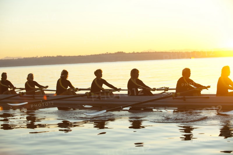 Team rowing boat in bay