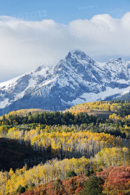 Snowy mountain and trees in rural landscape