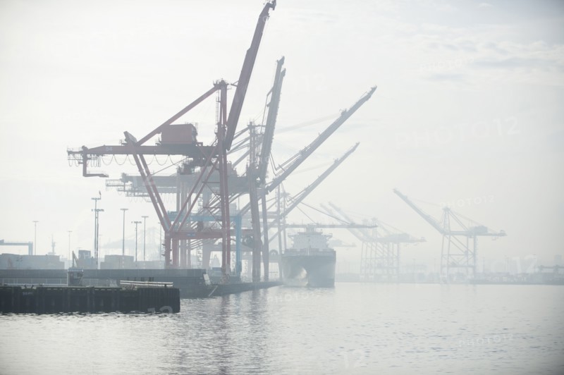 Shipping cranes in foggy industrial harbor