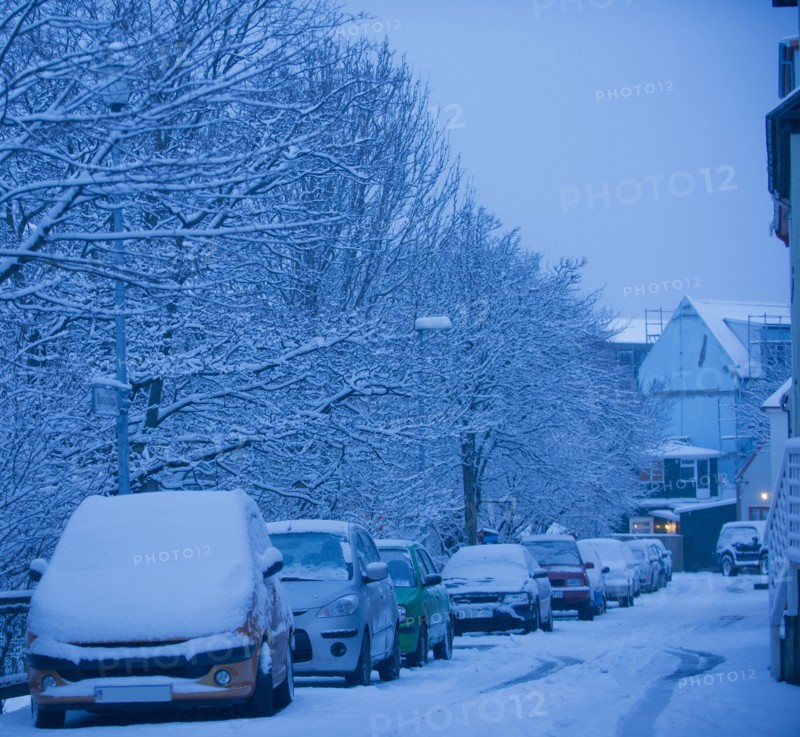 Snow covered cars parked on city street