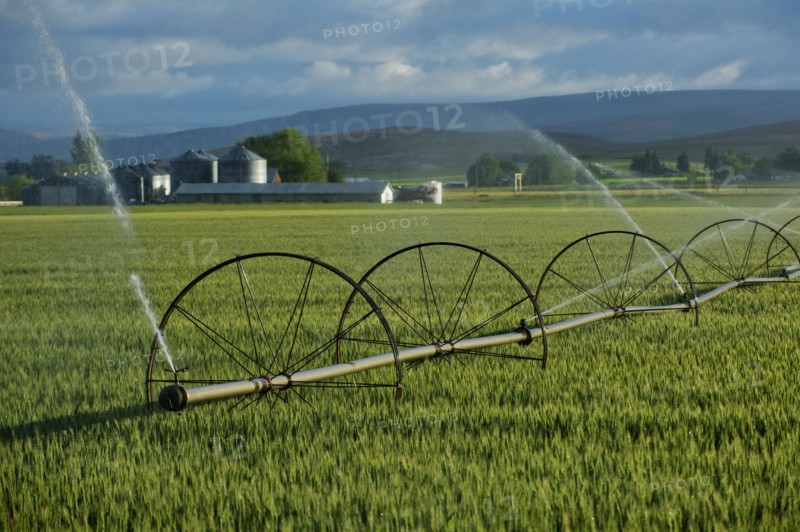 Irrigation system watering crops on farm field