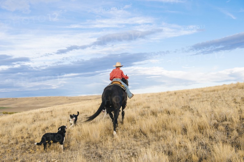 Caucasian boy riding horse on grassy hill