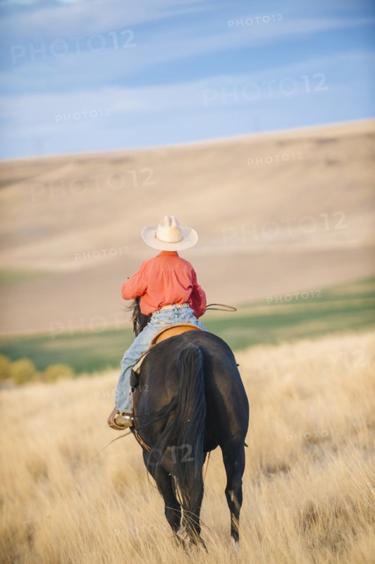 Caucasian boy riding horse in grassy field