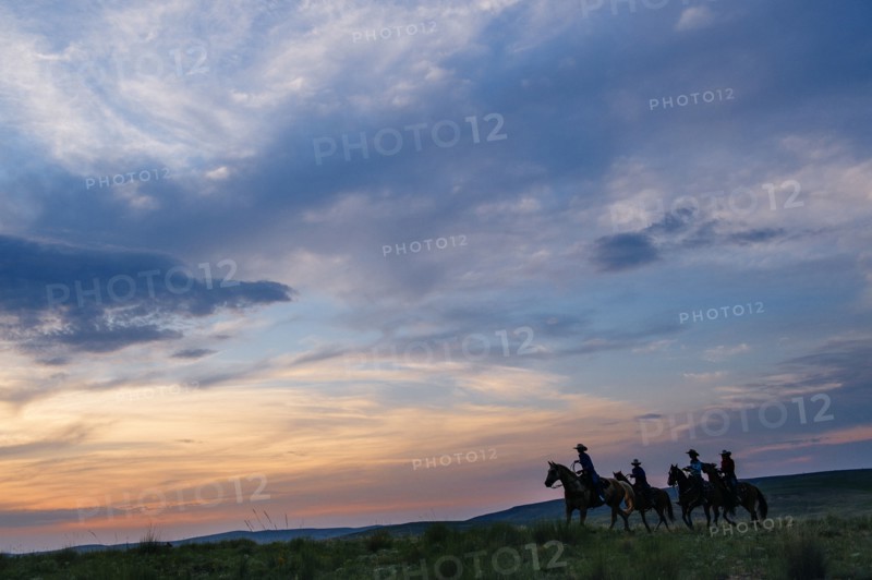 Cowgirls and cowboy riding horses in rural field