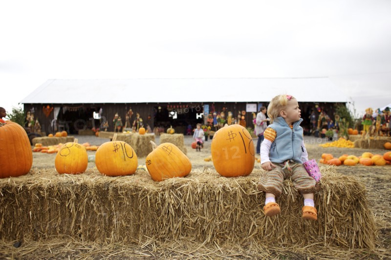 Caucasian girl sitting with pumpkins in pumpkin patch