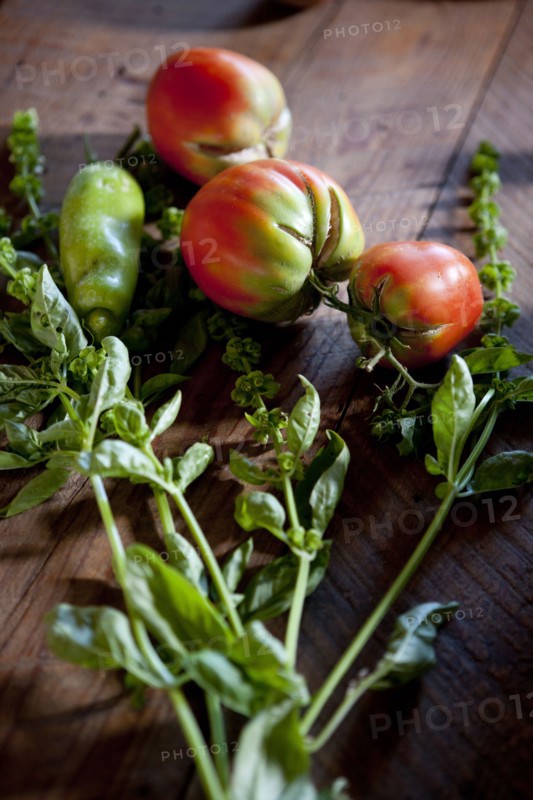 Ripening tomatoes and basil