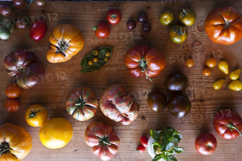 Variety of tomatoes