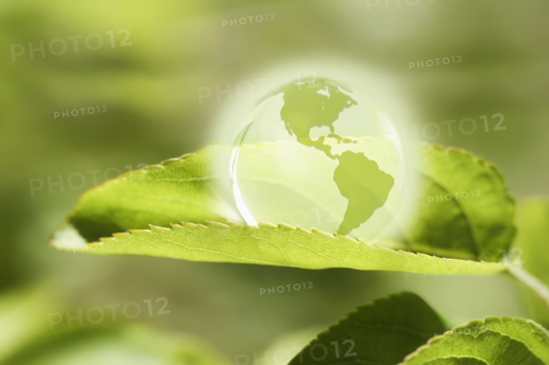 Glass globe resting on green leaf