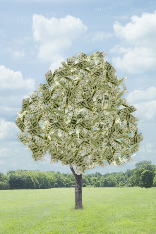 Illustration of dollar bills growing on tree