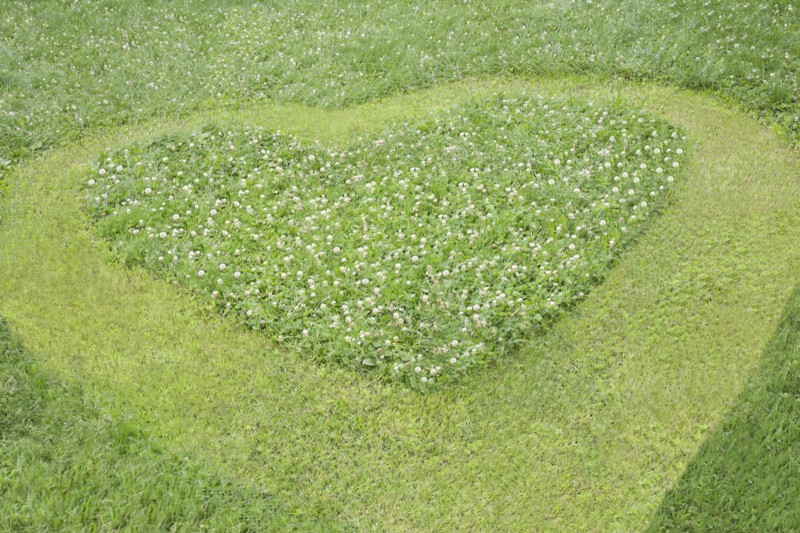 High angle view of heart mowed in grass lawn