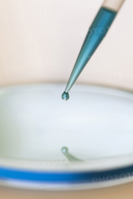Close up of liquid on dropper over petri dish