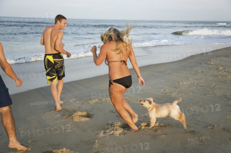 Teenagers and puppy running on beach