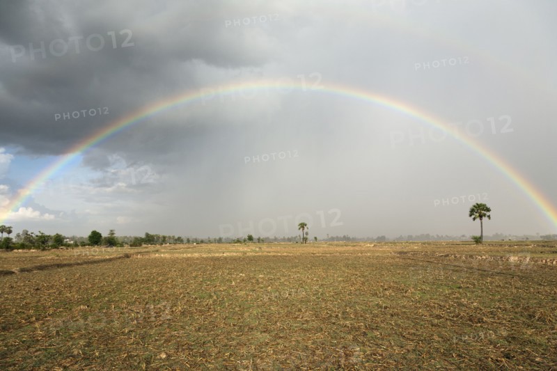Rainbow over field