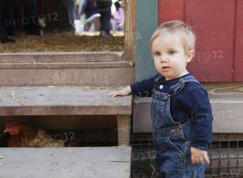 Caucasian boy standing by chicken coop