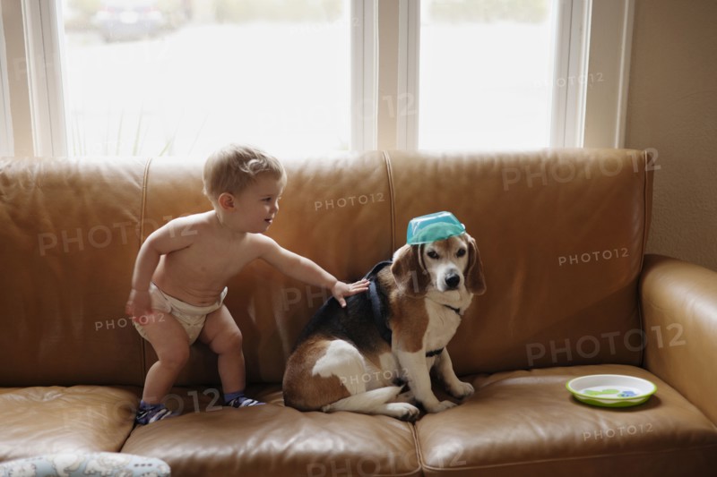 Caucasian boy playing with dog on sofa