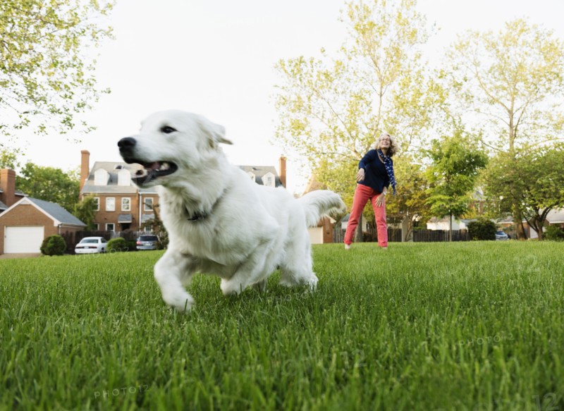 Caucasian woman playing with dog in park