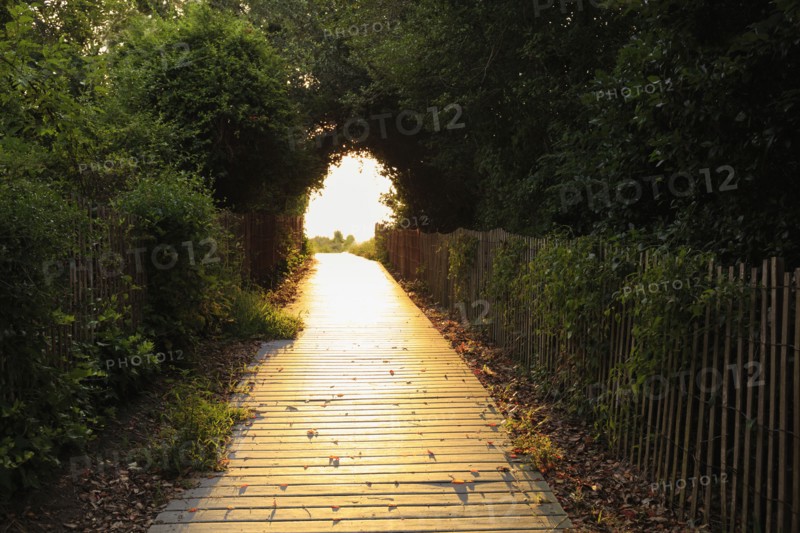 Wooden walkway to beach
