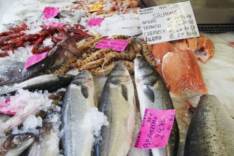 Close up of fish on ice in market