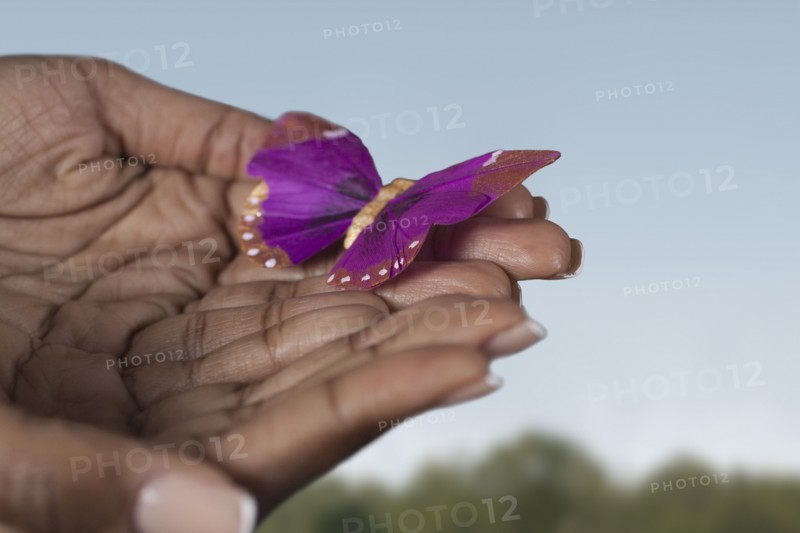 Black woman's hands holding purple butterfly