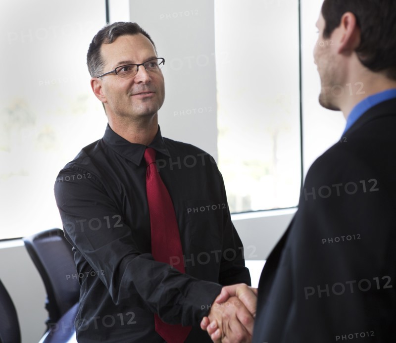 Businessmen shaking hands in office