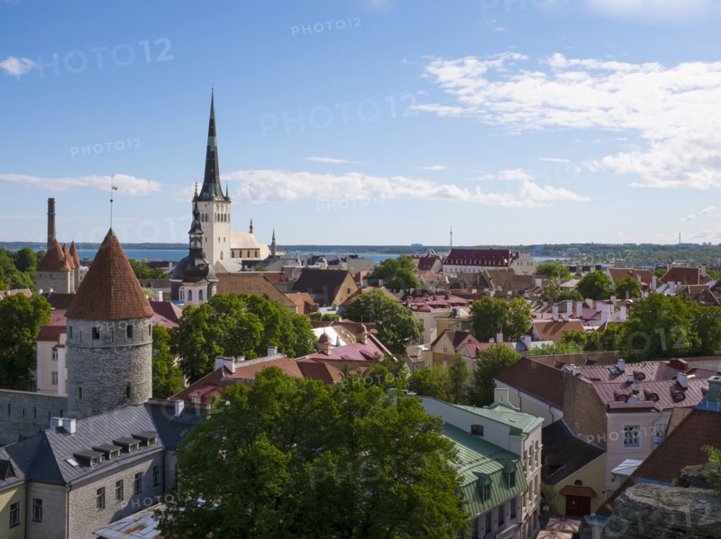 High angle view of Tallinn cityscape