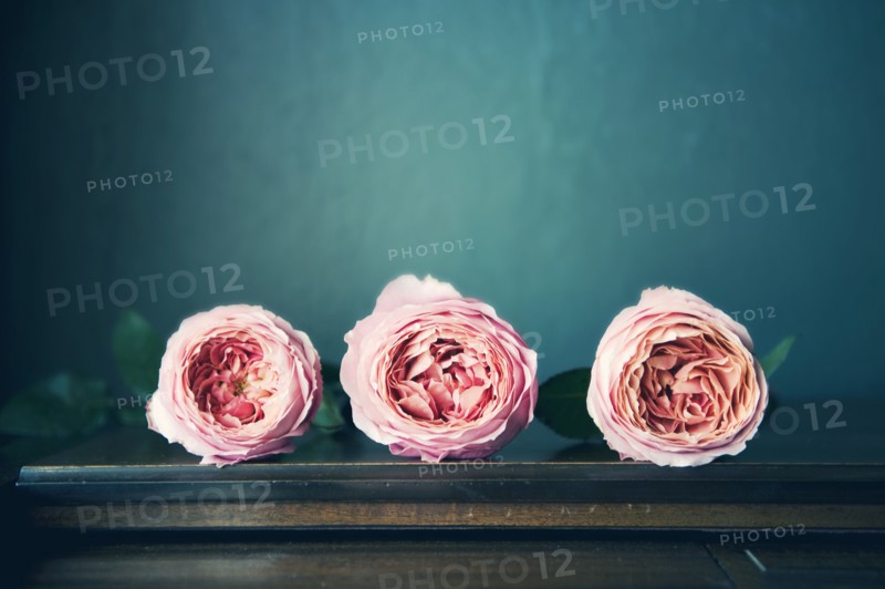 Close up of flowers on table