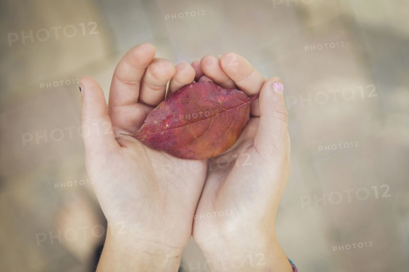 Caucasian girl holding autumn leaf