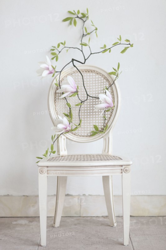 Flowering branch on empty chair
