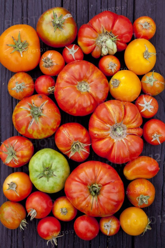 Close up of variety of fresh tomatoes on board